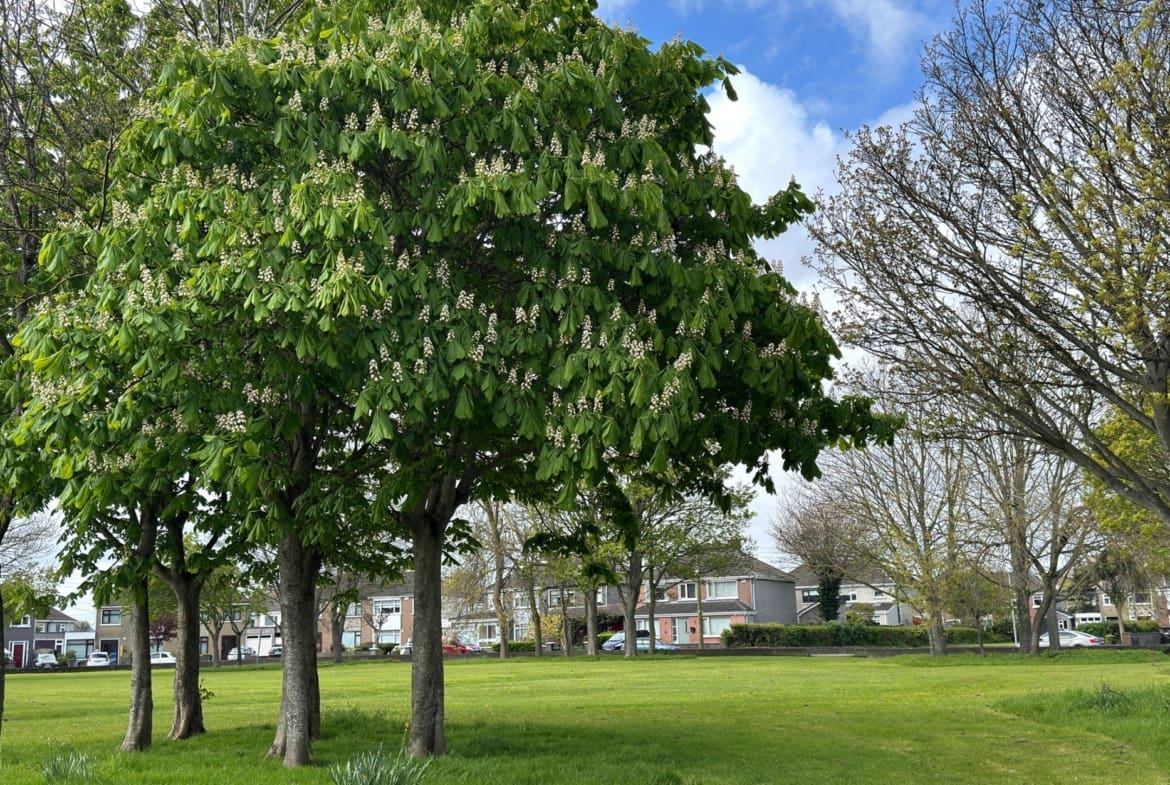 1170